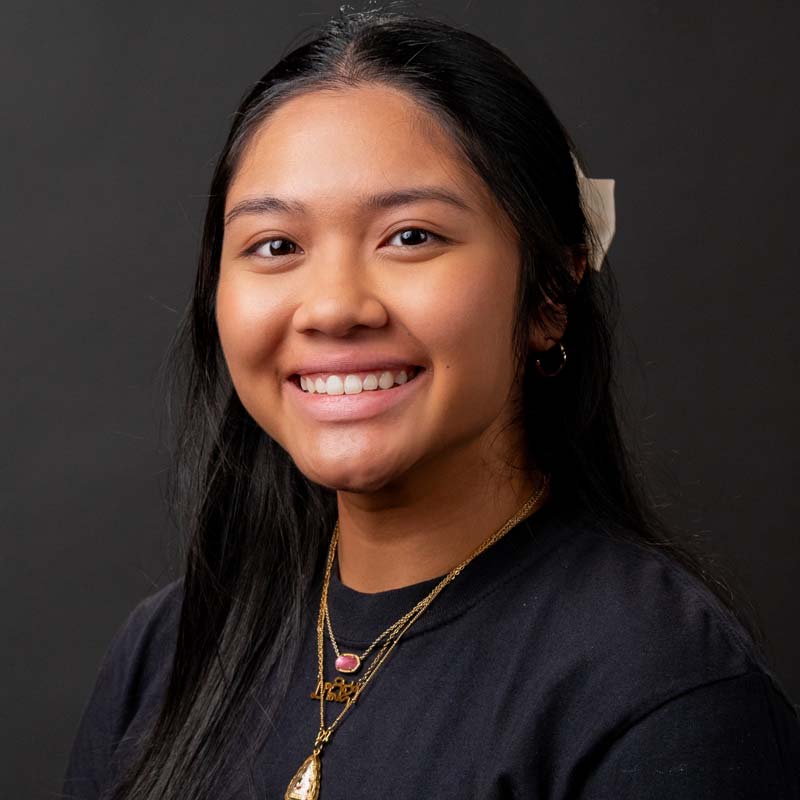 Malesa Sinnasone, DSP Manager